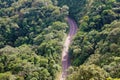 Street between trees in the forest aerial view from above, Jaragua Peak, Brazil