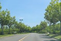 Street with two rows of beautiful trees