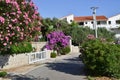 Street of vacation resort city Sunny day, Pag Croatia