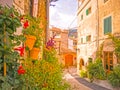 A street in Valdemossa, Majorca, Spain with picturesque stone houses and Flower pots on the wall Royalty Free Stock Photo