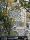 Street Vendor and Autumn Trees in front of Notre Dame Cathedral