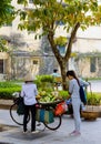 Street vendor in Hanoi Royalty Free Stock Photo