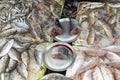 Street Vendor in Hue, Vietnam traditional fish market people selling fresh fish on the sidewalk. Royalty Free Stock Photo