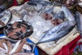 Street Vendor in Hue, Vietnam traditional fish market people selling fresh fish on the sidewalk. Royalty Free Stock Photo