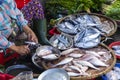 Street Vendor in Hue, Vietnam traditional fish market people selling fresh fish on the sidewalk. Royalty Free Stock Photo