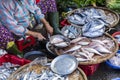 Street Vendor in Hue, Vietnam traditional fish market people selling fresh fish on the sidewalk. Royalty Free Stock Photo