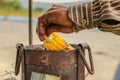 Hand of an Indian Street Vendor Roasting Corn