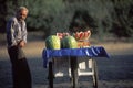 Street vendor selling watermelon slices, Istanbul, Turkey