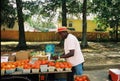 Street vendor sells vegetables and fruit along the roadside