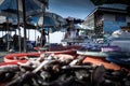 Street vendors are holding fish at a fish market in Thailand. Royalty Free Stock Photo