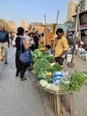 Street Vendors, Vegetable seller.