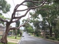 Street view at Asquith