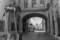 Street view from the central areas of Sculptures of Stephan Muntaner installed in front of the city hall of Marseilles, France