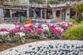 Street view, colored flowers in square, plaza real in Castellon