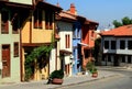 Colorful old houses with a cat in the foreground in the historical part of the city of Eskisehir in Turkey