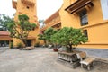 Property, tree, plant, houseplant, real, estate, courtyard, facade, villa