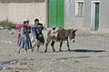 Street view with Indian women and donkey, Bolivia