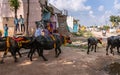 Street view during Mahishasura buffalo Puja, Kamalapur, Karnataka, India