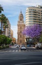 Street view with Malaga Cathedral - Malaga, Andalusia, Spain