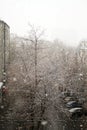Street view from the room on a dull cloudy winter day. The first snow falls on the street Royalty Free Stock Photo