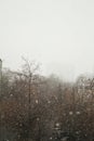 Street view from the room on a dull cloudy winter day. The first snow falls on the street Royalty Free Stock Photo