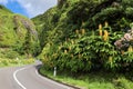 Street view of Waterfall of Ribeira do Fundao at the road bend, Azores, Portugal