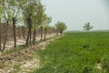 Street and village life in Gardez in Afghanistan in the summer Royalty Free Stock Photo