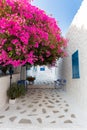 Street at the village of Perdika on Aegina Island in Greece