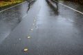 Street with water flooding from both sides, yellow center line dots, still raining