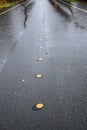 Street with water flooding from both sides, yellow center line dots, still raining