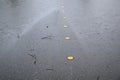 Street with water flooding from both sides, yellow center line dots, still raining