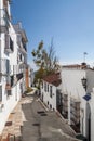 Street with tree in Frigiliana