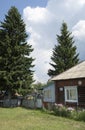 A street with a wooden house, a flowerbed and tall fir trees in the village of Parabel, Russia