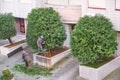 Professional gardeners in a uniform cut bushes on street