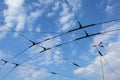 Streetcar / tram trolley overhead electric lines against blue sk