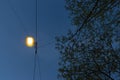 streetlamp on blue hour sunset sky Royalty Free Stock Photo