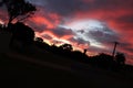 Streetlight sunset with clouds and dark trees