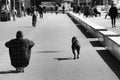 Man on skateboard with dog Royalty Free Stock Photo