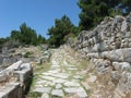 Streets of Ancient greek city Priene