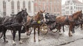 Streets of Bruges, Belgium, Europe - horses.