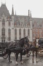 Streets of Bruges, Belgium, Europe - horses.