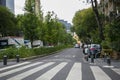 Streets of Colonia Roma with green trees in Mexico City