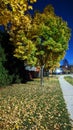 Streets come alive after sunset with beautiful fall colors, Mississauga, ON, Canada Royalty Free Stock Photo