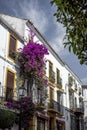 Streets, corners and details of marbella.Spain