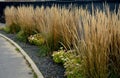 streets with gray fences of fodin gardens. flower beds line the plot