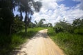 Views of the streets and houses of a jungle region in the Peruvian Amazon located near the city of Tarapoto.