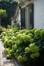 Streets and houses of small historical town Buren in Gelderland, Netherlands in sunny day Royalty Free Stock Photo