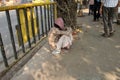 Streets of Kolkata, Beggars Royalty Free Stock Photo