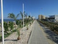 Streets of Lannaka on the island of Cyprus. Tourist area near the Mediterranean, cafes, hotels, the alley of palm trees.