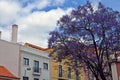 Streets of Lisbon. AlcÃÂ¢ntara. Portugal. JacarandÃÂ¡. Red building. Windows. Door. Blue and violet. Royalty Free Stock Photo